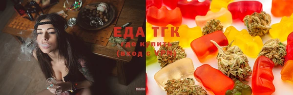 твердый Новокубанск