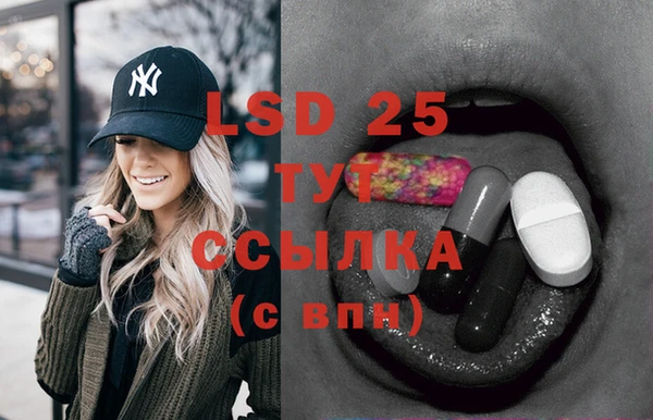 ПСИЛОЦИБИНОВЫЕ ГРИБЫ Новодвинск