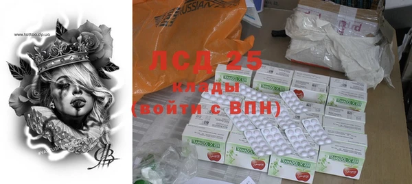 ПСИЛОЦИБИНОВЫЕ ГРИБЫ Новодвинск