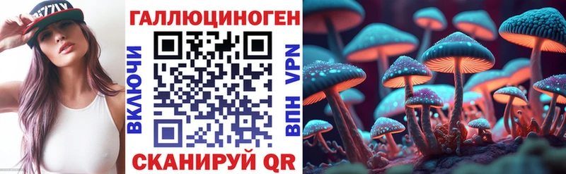 OMG ONION  Кольчугино  Псилоцибиновые грибы GOLDEN TEACHER 
