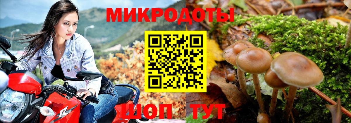 Галлюциногенные грибы Psilocybe  закладки  Кольчугино  Псилоцибиновые грибы MAGIC MUSHROOMS  Вход с VPN 