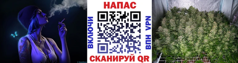 Конопля марихуана  Кольчугино 